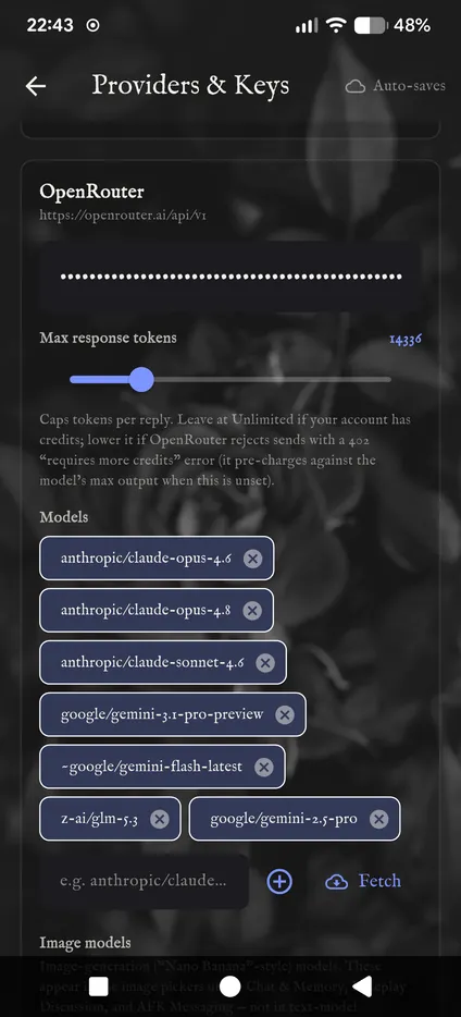 The OpenRouter card on Providers & Keys, with a key pasted in and a list of models.