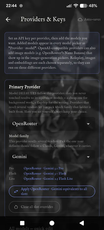 The Primary Provider box set to OpenRouter, with Gemini as the model family and the Apply button below.